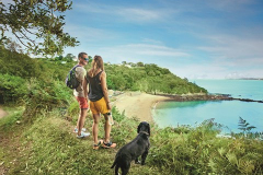 walk-stop-couple-dog-fermain