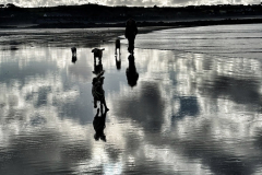 ca73c677-c051-44b5-a43e-3915507922b2